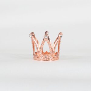 Coronita pink color small