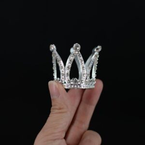 Coronita silver color small