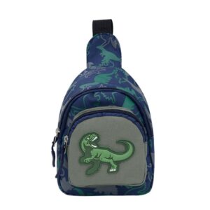 Bolso para los reyes del hogar Dino